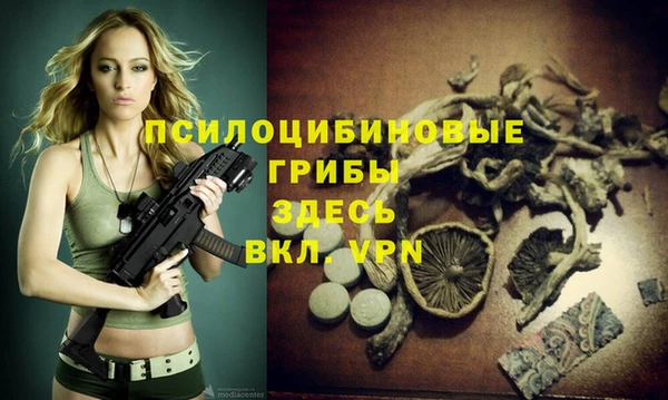 твердый Куйбышев