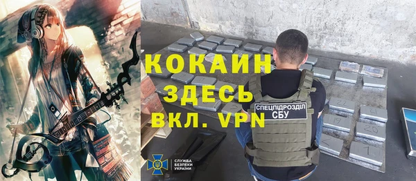 дурь Ладушкин