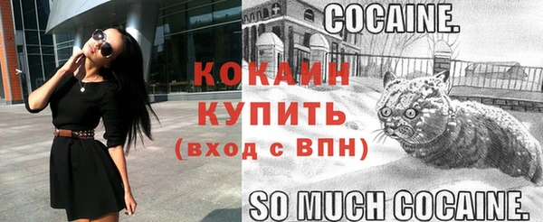дурь Ладушкин